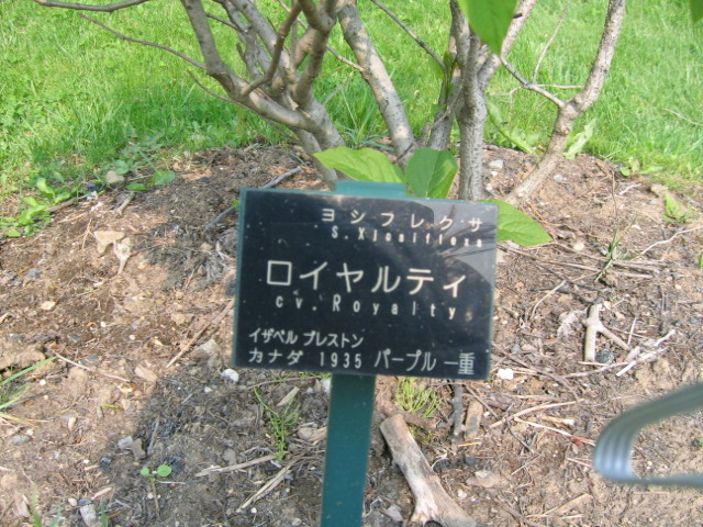 f0122259_18125731.jpg