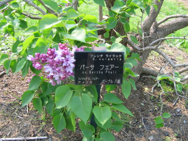 f0122259_18135191.jpg