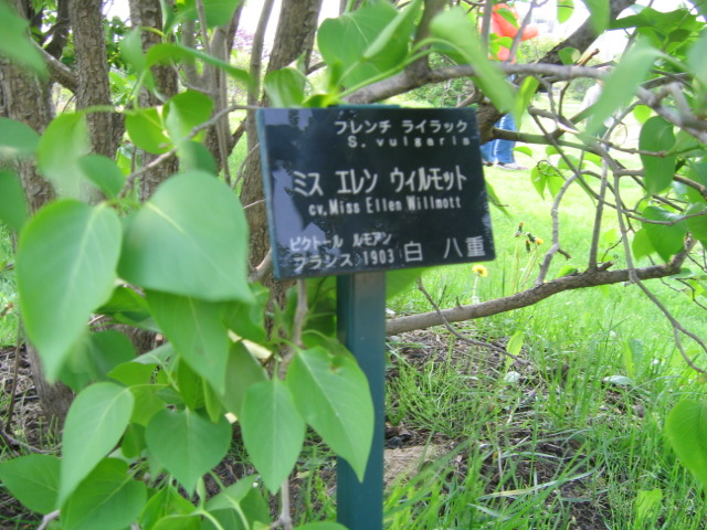 f0122259_18144010.jpg