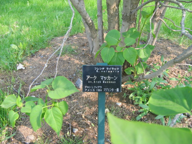 f0122259_1861117.jpg