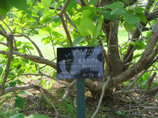 f0122259_1895283.jpg