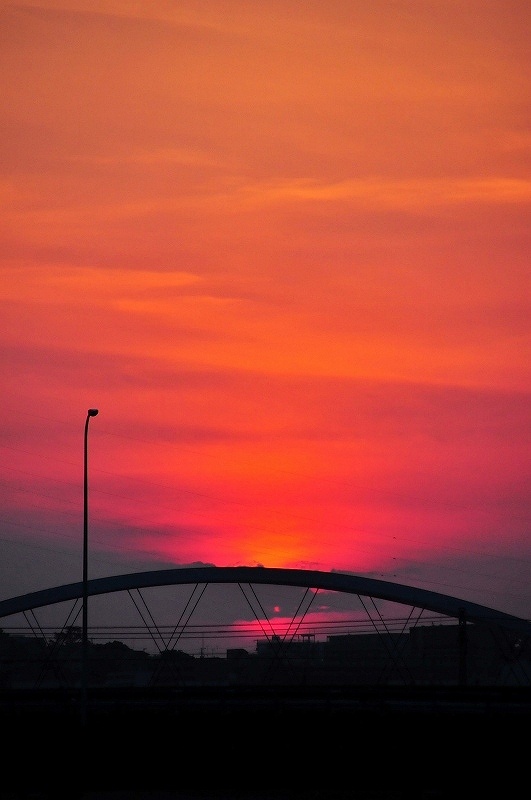e0131161_215590.jpg
