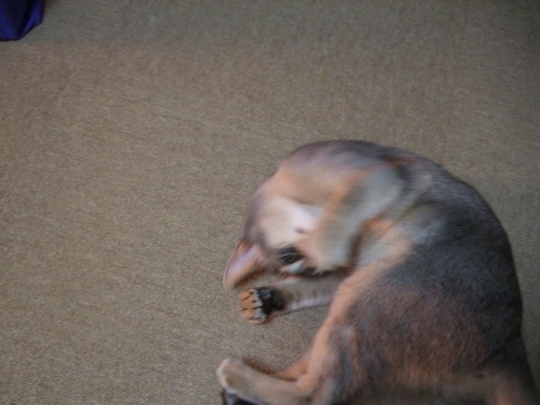 c0139765_043233.jpg