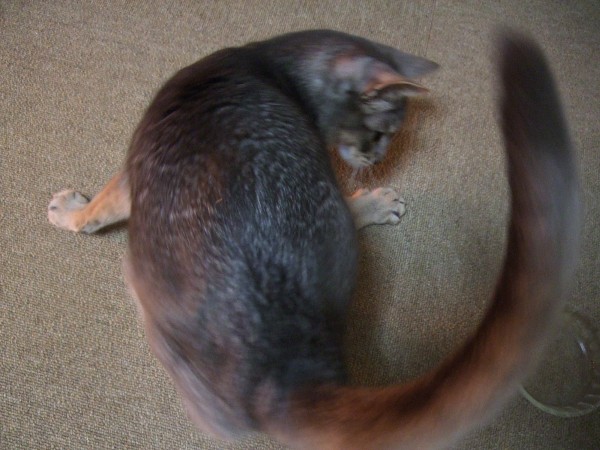 c0139765_043524.jpg