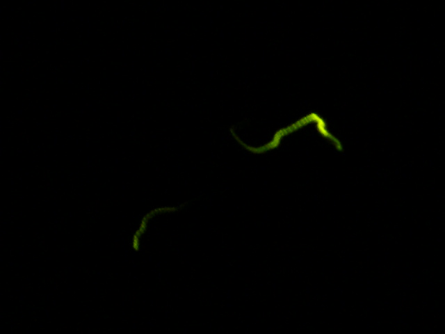 f0165869_10122480.jpg