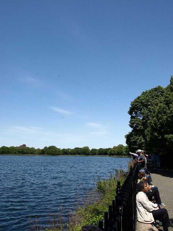 b0131774_105348.jpg