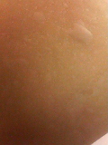 f0140174_0454837.jpg