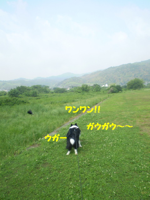 e0117976_13402372.jpg