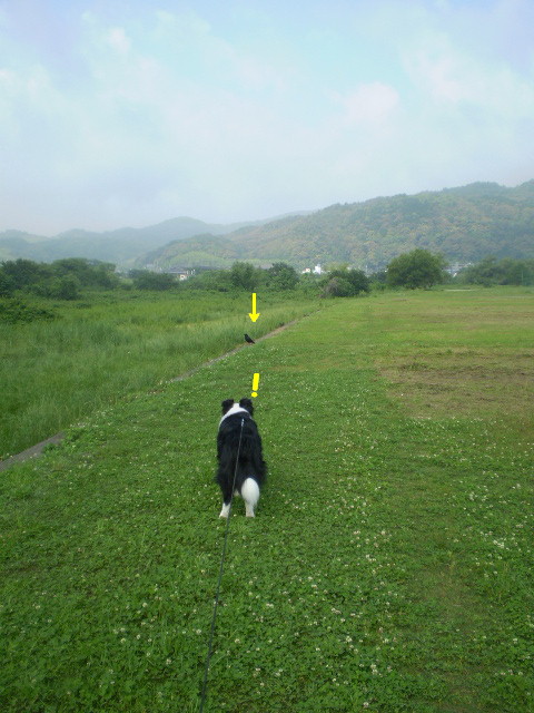 e0117976_1340431.jpg