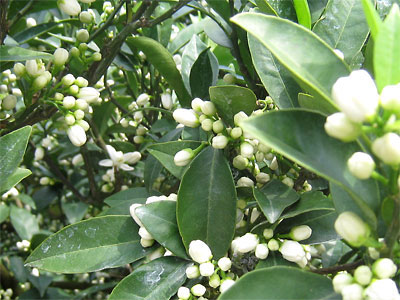 c0152779_0122414.jpg