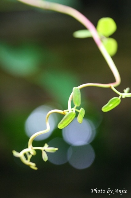 b0128787_18554418.jpg