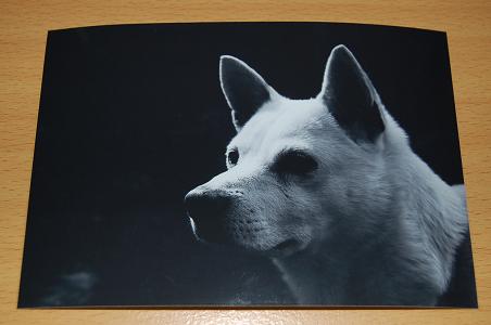 c0046587_22162726.jpg