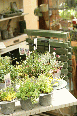 d0100192_2244475.gif