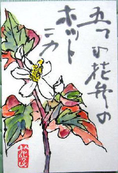 f0029393_6404815.jpg