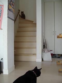 f0081594_1439997.jpg