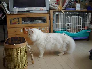 f0081594_14402093.jpg