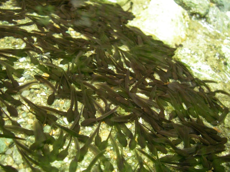 f0129994_1641345.jpg