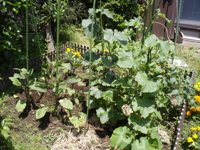 f0130894_2043760.jpg