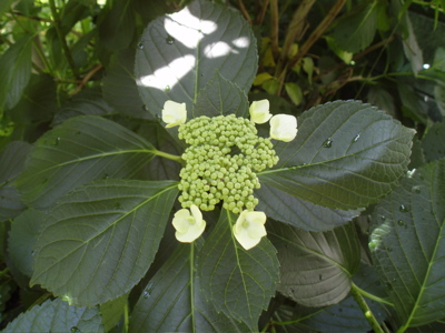 f0130894_20451747.jpg
