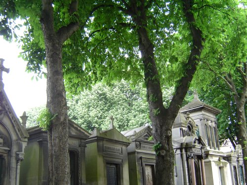 f0139397_14175589.jpg