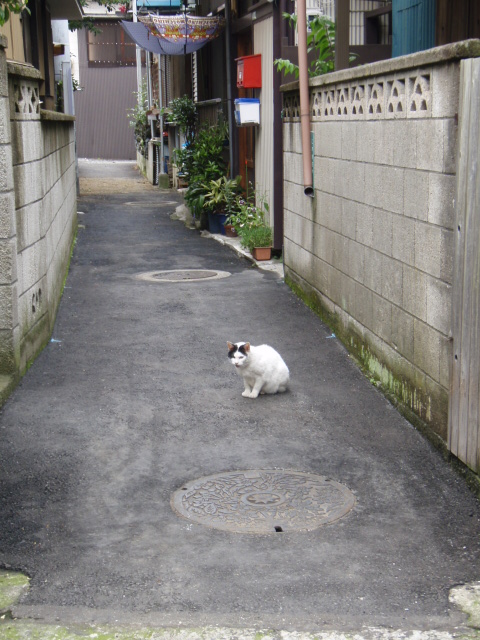 c0008598_8422961.jpg