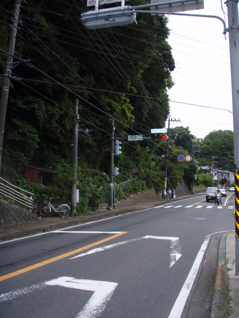 c0008598_8482522.jpg