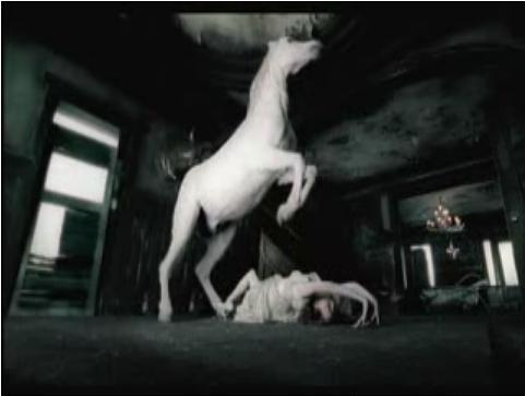 the white stripes blue orchid