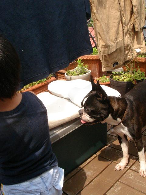 b0027203_23175095.jpg