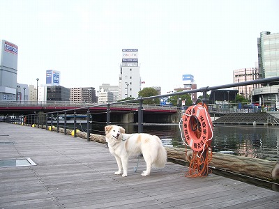 a0032004_1350318.jpg