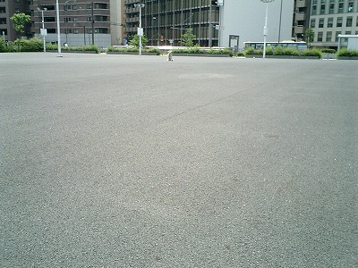 a0032004_14111356.jpg