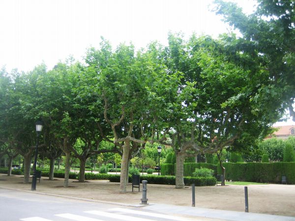 b0064411_221735100.jpg