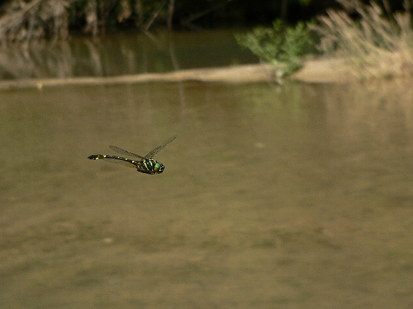 e0002314_18162045.jpg