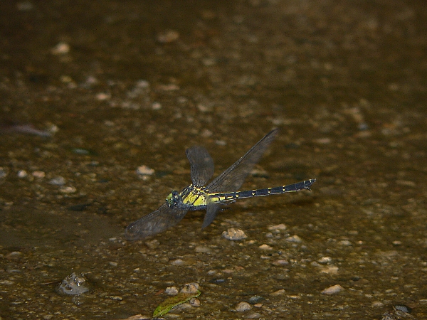 e0002314_1831825.jpg