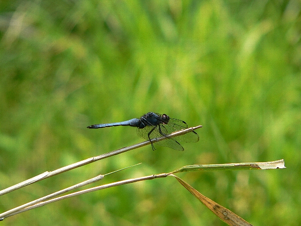 e0002314_1875683.jpg