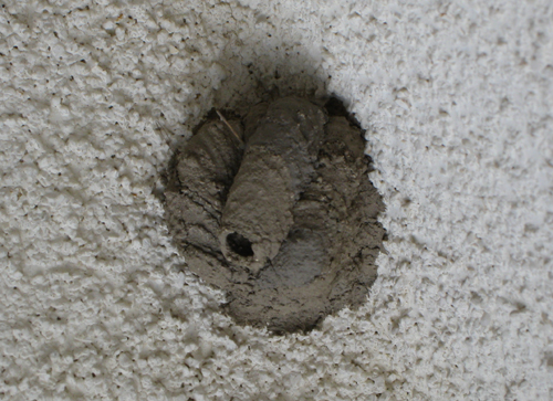 f0041021_865560.jpg