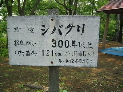 c0123031_13551029.jpg