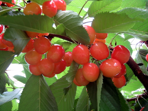 f0000135_20282427.jpg