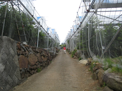 f0000135_20343917.jpg
