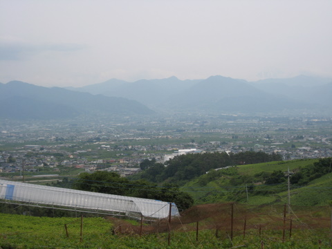 f0000135_20364990.jpg