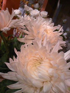 b0137240_22172019.jpg