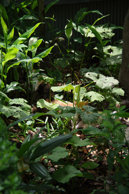 f0149442_0165690.jpg