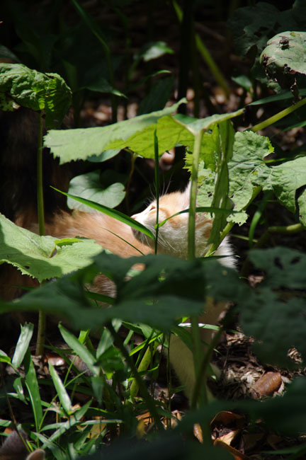 f0149442_0201697.jpg