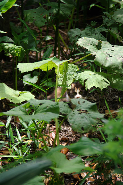 f0149442_023425.jpg