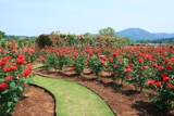 c0122445_8204480.jpg