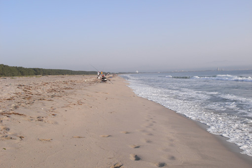 e0136745_19512283.jpg