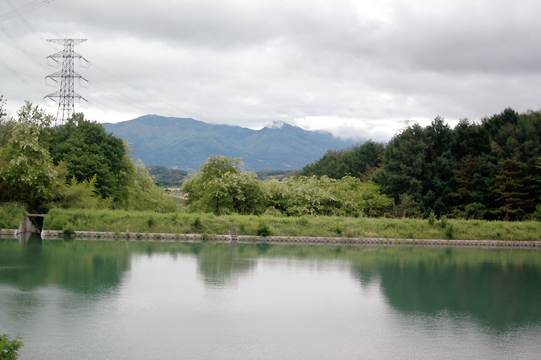 d0008146_17122313.jpg