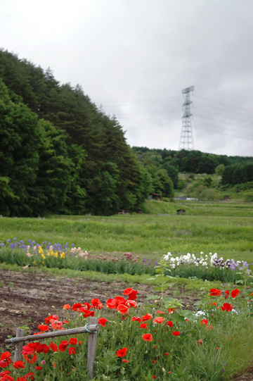 d0008146_1713454.jpg