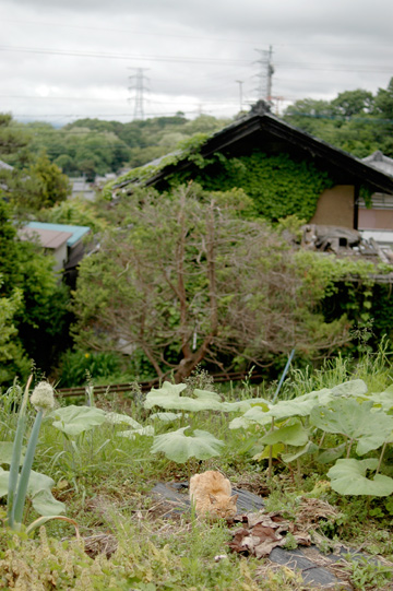 d0008146_17142279.jpg