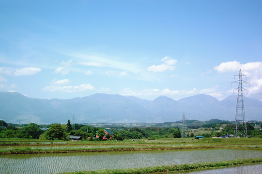 d0008146_17161269.jpg