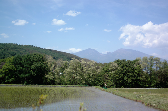 d0008146_17175984.jpg